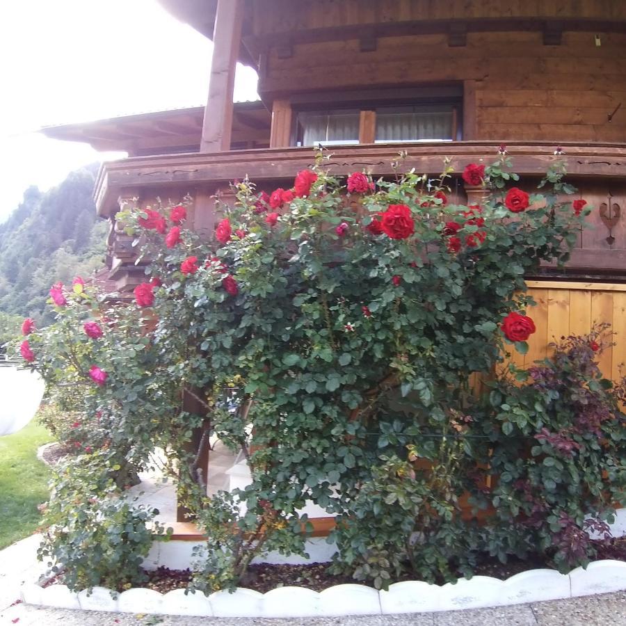 ניוסטיפט אים סטובאיטל Landhaus Knoflach מראה חיצוני תמונה